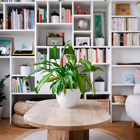 Le Perchoir - Welkeys Apartmán Lyon